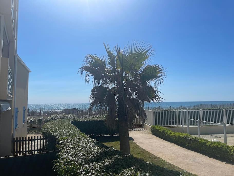 Appart Frontignan Sur La Plage, Piscine, Wifi, Tv, Netflix Exterior photo